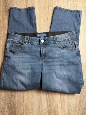 Democracy Ab Solution Stretch Mid Rise Jeans Size 18W